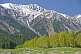 Image of Trees and snow-capped mountains of the Sarycat Ertas Nature Reserve.
