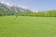 Image of Flower-filled meadows of the Sarycat Ertas Nature Reserve lead through thick pine forests to the snow-capped Mountains of Altyn Arashan.
