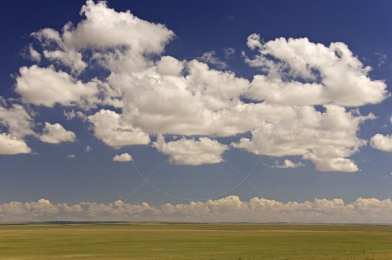 Sparce vegetation of the Gobi Desert, dominated by clouds in a big blue sky.