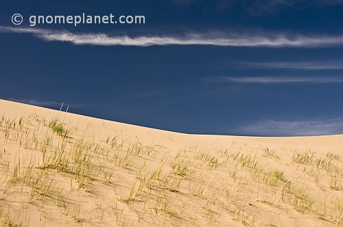 Sand dunes at Khongoryn Els.