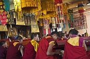 Young monks at a service in the Gandan Muntsaglan Khiid monastery.