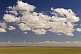 Sparce vegetation of the Gobi Desert, dominated by clouds in a big blue sky.