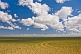 Image of Sparce vegetation of the Gobi Desert, with tyre tracks, and clouds.