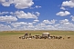 A lonely yurt and goat herd in the bare Mongolian plains.