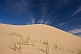 Sand dunes at the 'Singing Dunes' - Khongoryn Els, the largest and most spectacular dune system in the country.