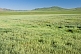 Image of Verdant pastureland with distant mountains.