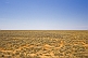 Image of View of deserted Nullarbor Plain from the GSR Indian Pacific trans-continental train.