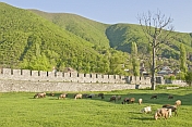 Sheep graze within the walls of the \\'Xan Sarayi\\', or Khan\\'s Palace.