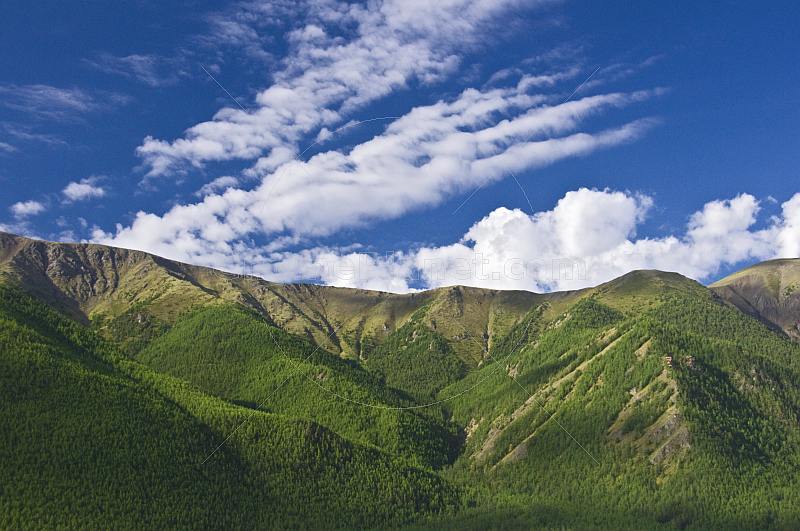 Forested mountains of the Altai Republic.