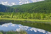 Forested mountains and river of the Altai Republic.