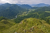 Mountains and forests of the Altai Republic.