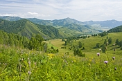 Russia Asiatic, Respublika Altay, Cherga. Mountains, flower-filled meadows, and farmland of the Altai Republic.