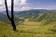 Image of Mountains and forests of the Altai Republic.