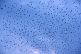 Image of Birds filling the sky at dusk.
