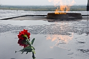 Red carnation flower in the rain, a memorial by the side of the Eternal Flame, lit to honor the Great Patriotic War of 1939-1945.