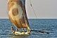 Traditional outrigger fishing boat under full sail