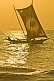 Sri Lankan outrigger fishing boat under sail at sunset