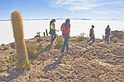 visitors on the Isla Pescado view the Uyuni Salt Flats.