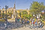 Locals feed the pigeons in the busy Plaza 10 de Noviembre.