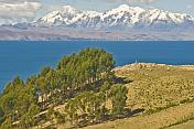 Trees and barren hillside on the Isla del Sol in Lake Titicaca with distant view of Andes mountains.