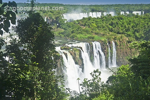 Waterfalls and jungle at the Iguazu Falls.