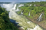 Multiple waterfalls and jungle along the Iguazu River.