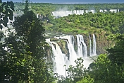 Waterfalls and jungle at the Iguazu Falls.