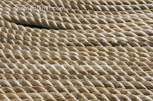Lines of white rope stacked close together.