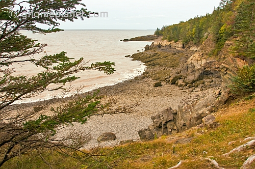 Fir trees and a rocky coastline hug the Bay of Fundy in the Cape Split Provincial Park Reserve.