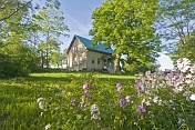 Farmhouse in wooded glade bordered by purple flowers.