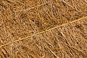 Detail of a bale of meadow hay with yellow baler twine crossing diagonally.