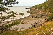 Fir trees and a rocky coastline hug the Bay of Fundy in the Cape Split Provincial Park Reserve.