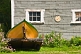 Image of Boat trailer and flowers in front of grey shingled housefront.