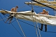Image of Two women crew members of the tallship 'Picton Castle' work aloft to stow sail.