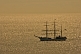 Image of The tallship 'Picton Castle' at anchor by herself in a silver sea.