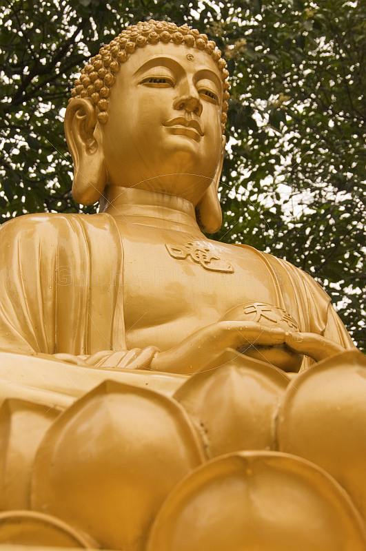 Golden Buddha at the Big Goose Pagoda.