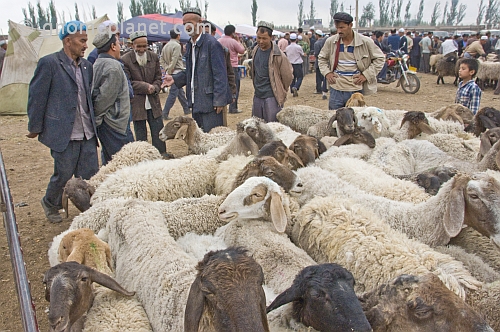 Traders discuss the price of sheep at the Sunday Market.