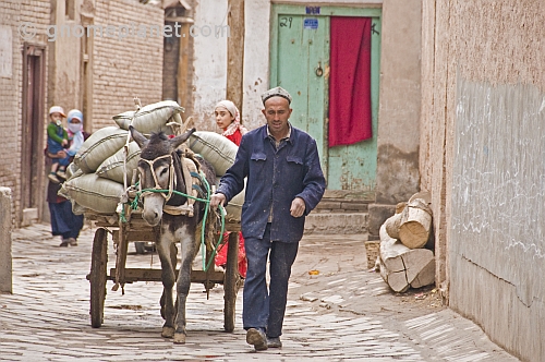 Man with donkey-cart in the twisting streets of the old city.