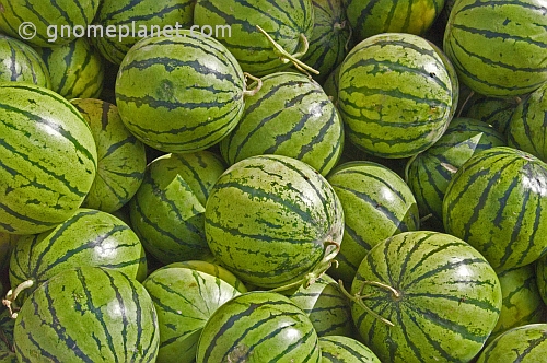 Green water melons.