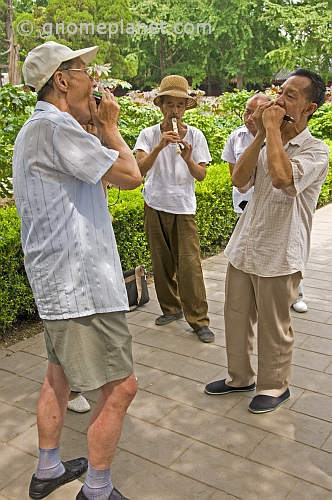 Chinese musicians practise in Jingshan Park.