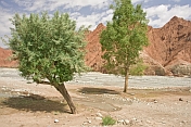 Trees and red sandstone cliffs line the Ghez river, which crosses under the Karakoram Highway between Kashgar and Tashkurgan.