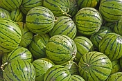 Green water melons.