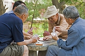 Men playing cards at stone table.