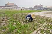A gardener cleans the paths outside of the Gate of Supreme Harmony in the Forbidden City.