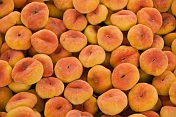 Flat Peaches for sale at the Huguosi Market.