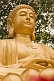 Golden Buddha at the Big Goose Pagoda.