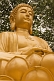 Image of Golden Buddha at the Big Goose Pagoda.