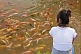 Image of Girl watching a shoal of Goldfish at the Bishu Shanzhuang summer resort for Qing Emperors.