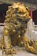 Gilded lion at the Palace of Heavenly Purity, in the Forbidden City.