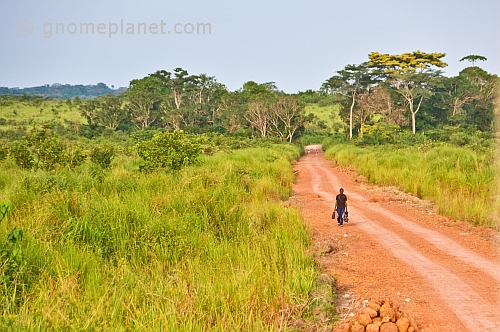 Man walks along a dusty dirt road through open grassland savannah with shopping bags.